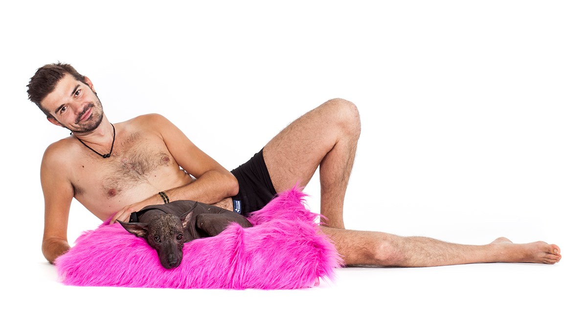 Zanimljiv projekt za pomoć napuštenim psima